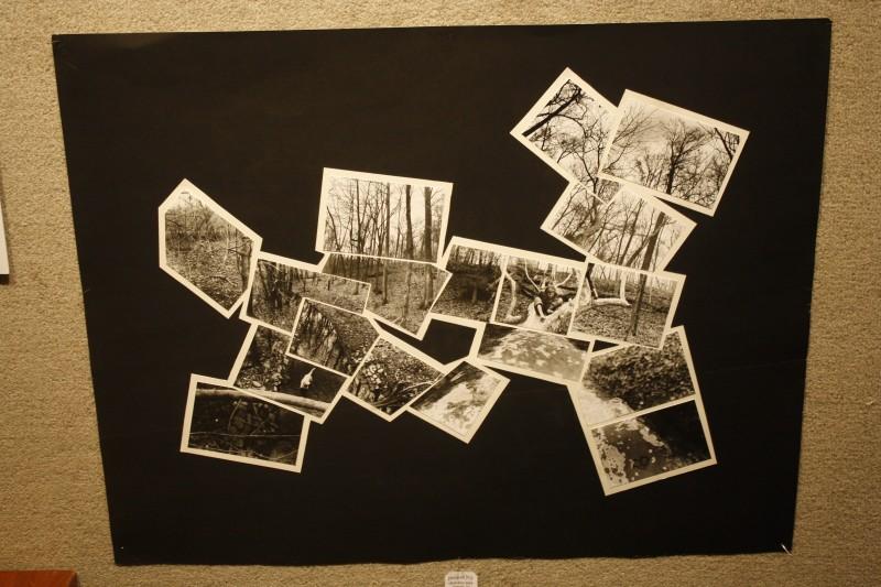 Katie Deangelis (12) combined photos to create one large photo of a wooded area.